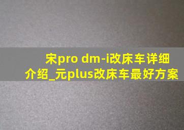 宋pro dm-i改床车详细介绍_元plus改床车最好方案